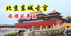 操爆美女的逼中国北京-东城古宫旅游风景区